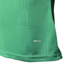 Camisa Palmeiras Puma Jogador 2024/25 Masculino Verde